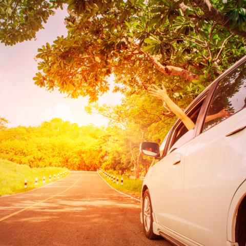witte wagen in zonlicht en natuur 